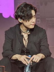 BTS Vegas 4822 206-225x300