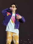 BTS Vegas 4822 363-225x300