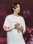 BTS Vegas 4822 505-225x300