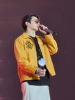 BTS Vegas 4822 588-225x300