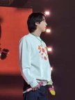 BTS Vegas 4822 590-225x300
