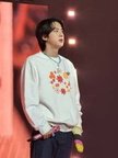 BTS Vegas 4822 591-225x300